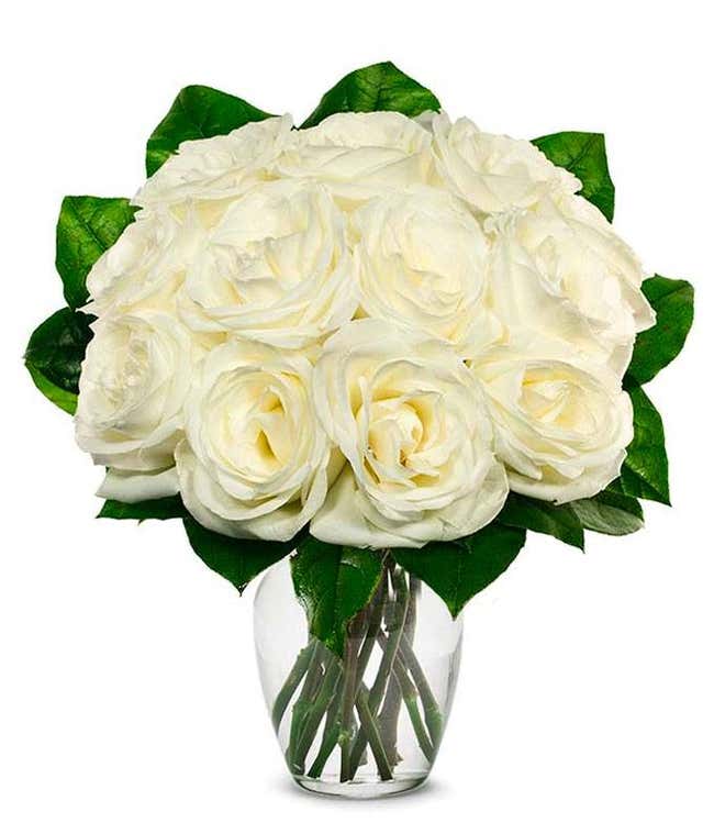 An elegant arrangement featuring one dozen white roses. This classic and timeless display offers a touch of purity and sophistication, perfect for any special occasion.