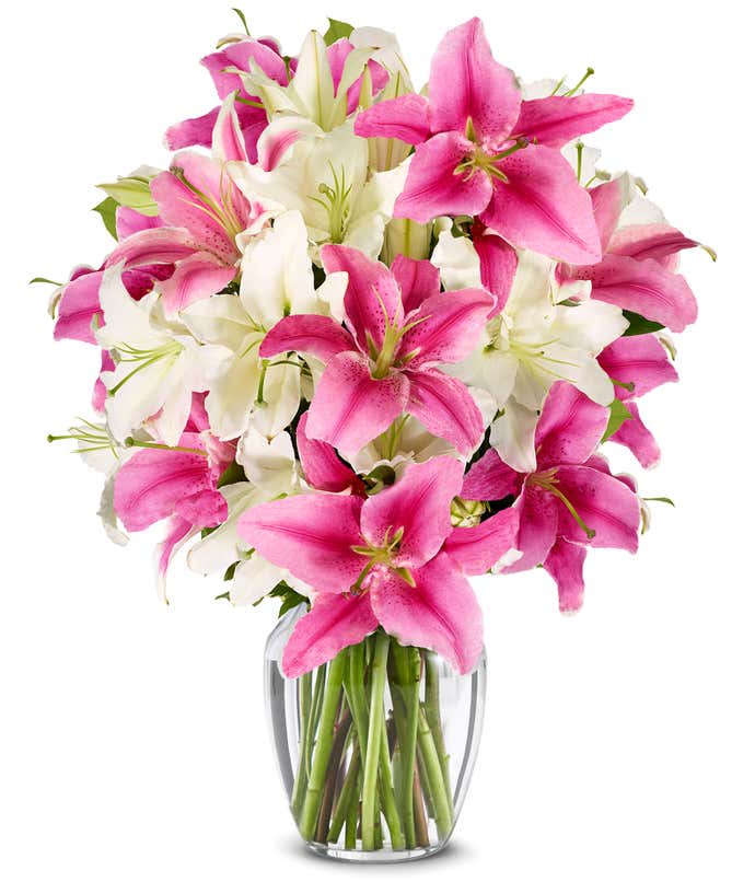 Premium Pink Lilies and White Lilies in Glass Vase