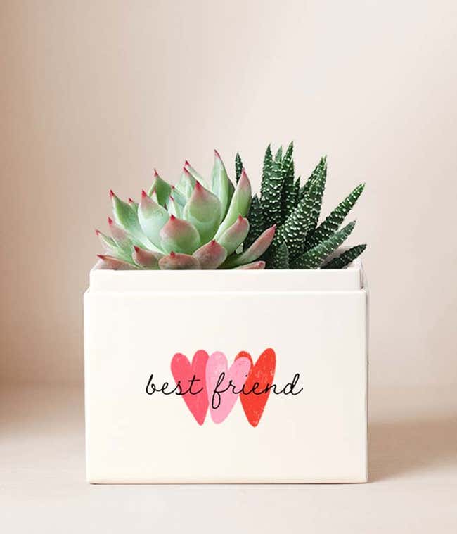 A square white container with a small spiky dark green and white succulent, and a small pink with green tips succulent. On the container there is a pink heart and inscription best friend. Behind the container is another white square container with lid and