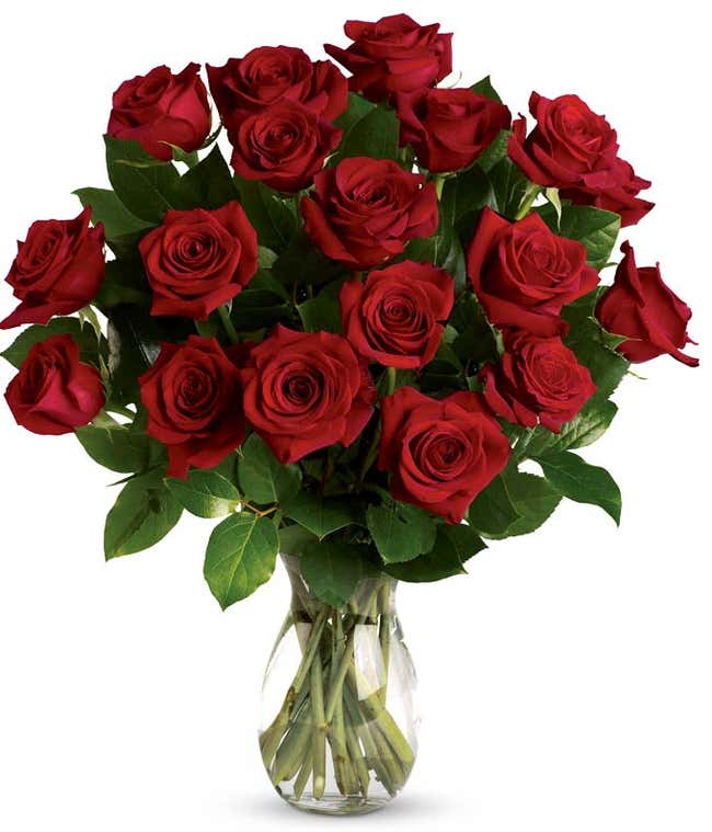 Classic Romance Red Roses - One Dozen