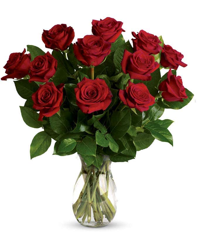Classic Romance Red Roses - One Dozen