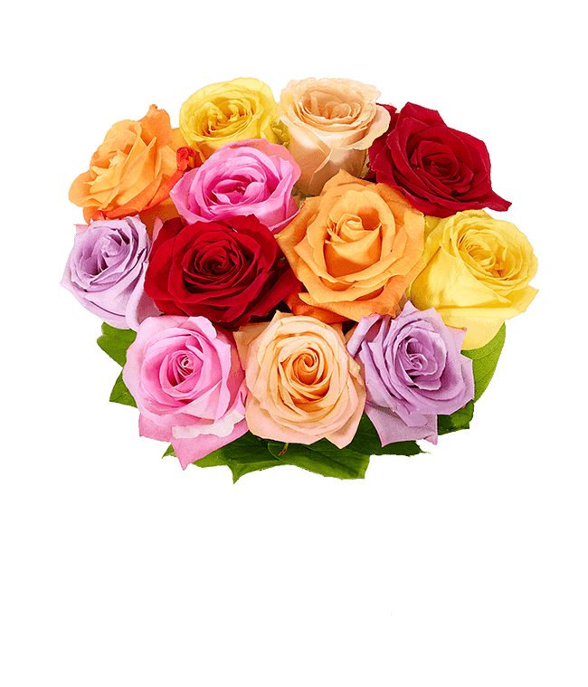 Partial image of One Dozen Rainbow Roses without vase.