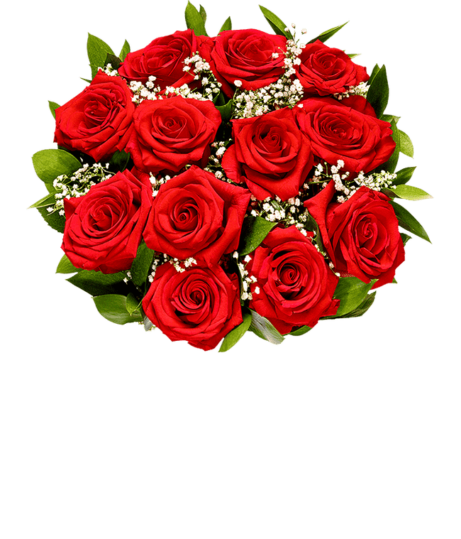 Partial image of One Dozen Red Roses without vase.
