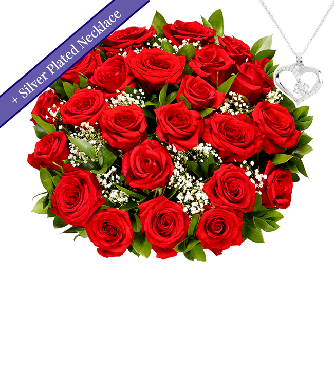 Partial image of Two Dozen Red Roses with Sterling Silver Heart Necklace without vase.