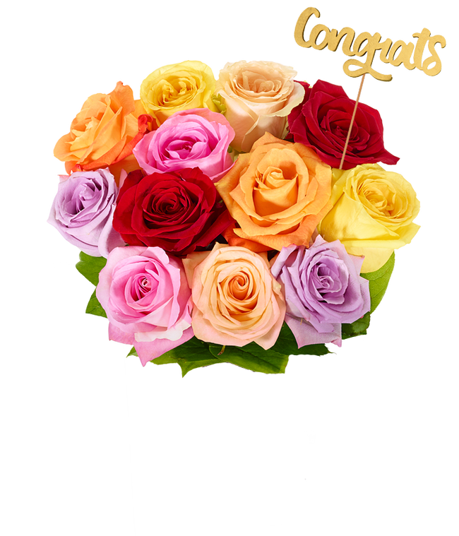 Partial image of Congrats! One Dozen Rainbow Roses without vase.
