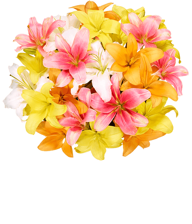 Partial image of Stunning Lily Bouquet - Premium without vase.