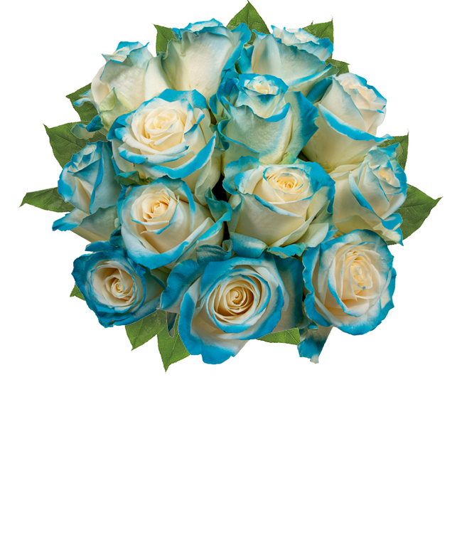 Partial image of One Dozen Aquamarine Roses without vase.